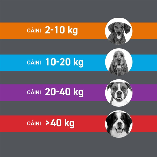 Frontline Combo Spot-On L – Soluție Antiparazitară Externă pentru Câini de Talie Mare (20–40 kg) – 3 Pipete